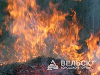 Пожары в Шенкурском районе