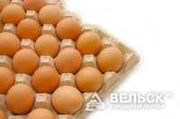 В Вельске расширяется производство яиц