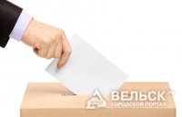Выборы в Шенкурске