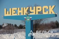 В Шенкурском районе пьяный водитель отказался выполнить требования сотрудников ГИБДД