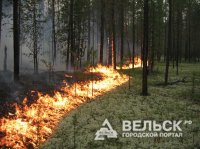 В Вельском районе пожар в лесу удалось потушить