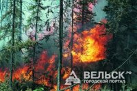 В Шенкурске ликвидировали пожар