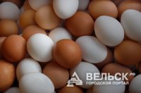 Промышленное птицеводство Архангельской области оказалось в сложной ситуации